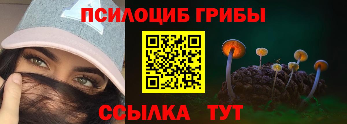 Галлюциногенные грибы прущие грибы Городец